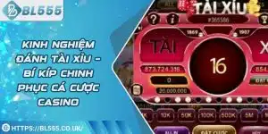 bl555 anh dai dien 1