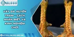 Vảy Gà Huyền Trâm - Cách nhận biết và kinh nghiệm chơi
